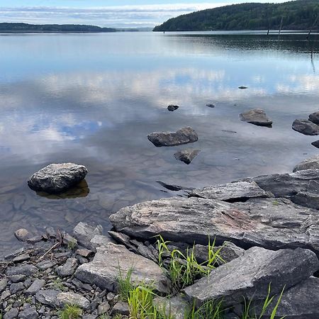 Hyttelaven Pa Furuholmen Сарпсборг Екстериор снимка