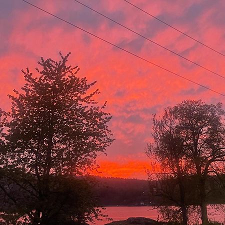 Hyttelaven Pa Furuholmen Сарпсборг Екстериор снимка