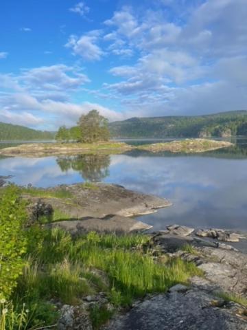 Hyttelaven Pa Furuholmen Сарпсборг Екстериор снимка
