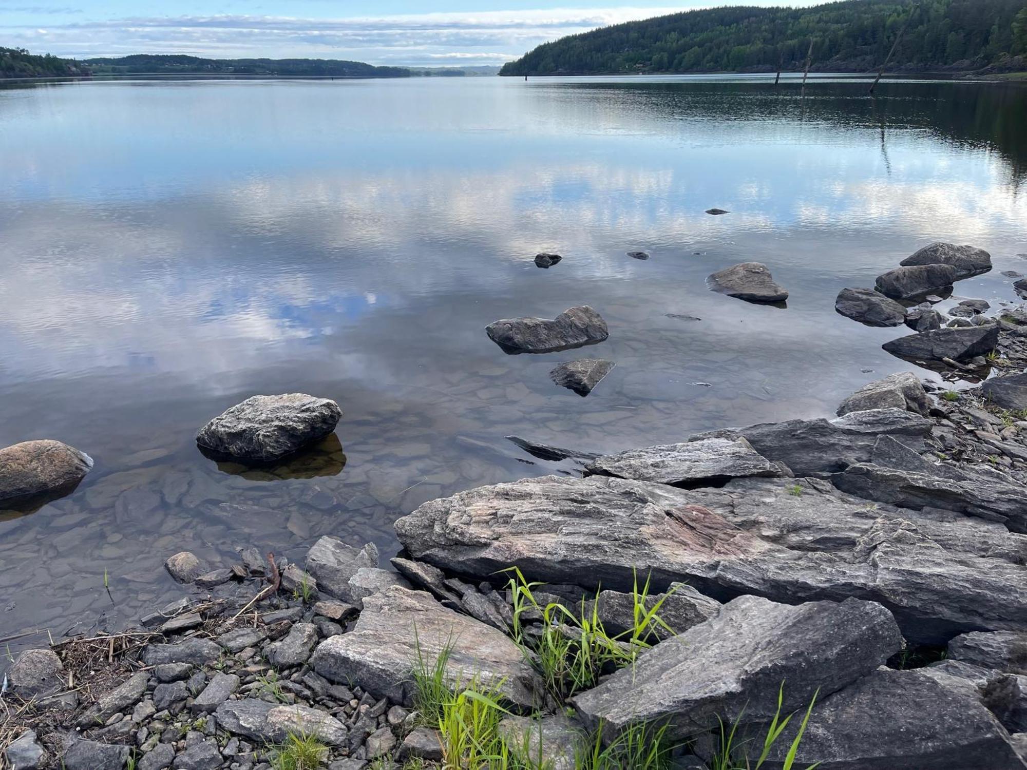 Hyttelaven Pa Furuholmen Сарпсборг Екстериор снимка