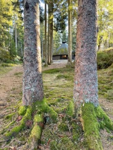 Hyttelaven Pa Furuholmen Сарпсборг Екстериор снимка